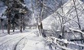 Winter in Bokrijk